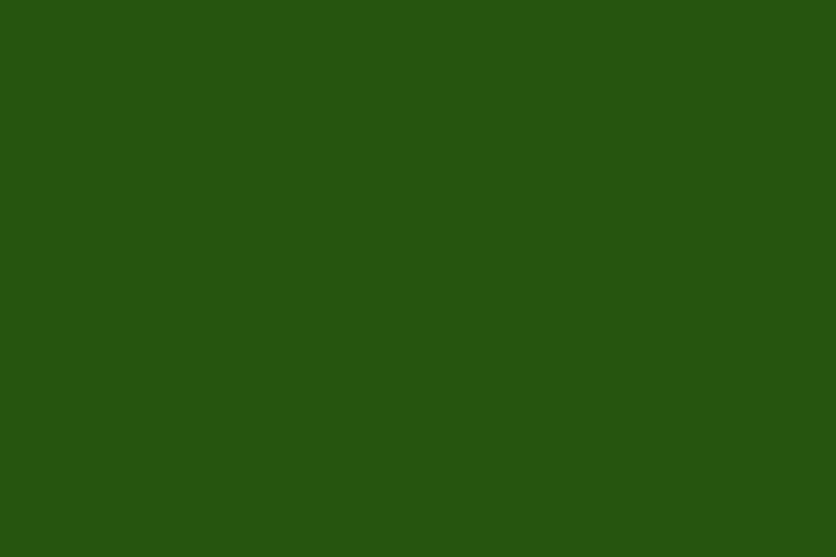 Dark green colour swatch