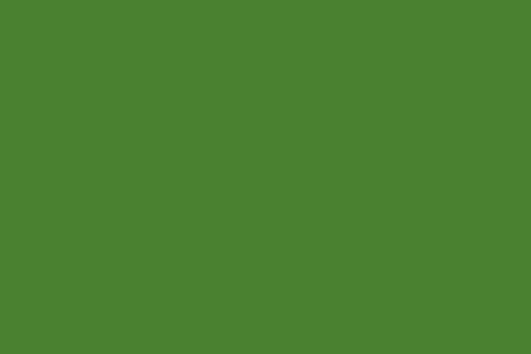 Green colour swatch